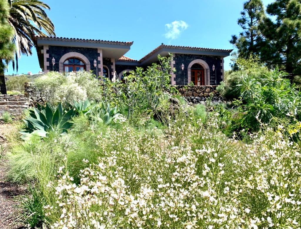 Luxury Villa In Nature With Swimming Pool Tenerife, Santiago Del Teide, With Sea And Mountain Views El Retamar 外观 照片