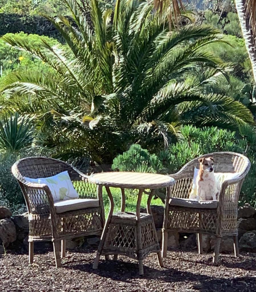 Luxury Villa In Nature With Swimming Pool Tenerife, Santiago Del Teide, With Sea And Mountain Views El Retamar 客房 照片